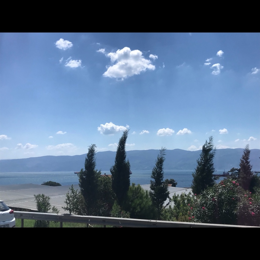 Meet your Posher, Rosy